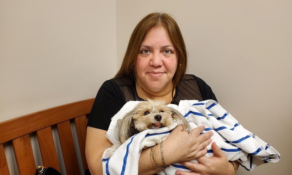 VCA Palm Beach Veterinary Specialists