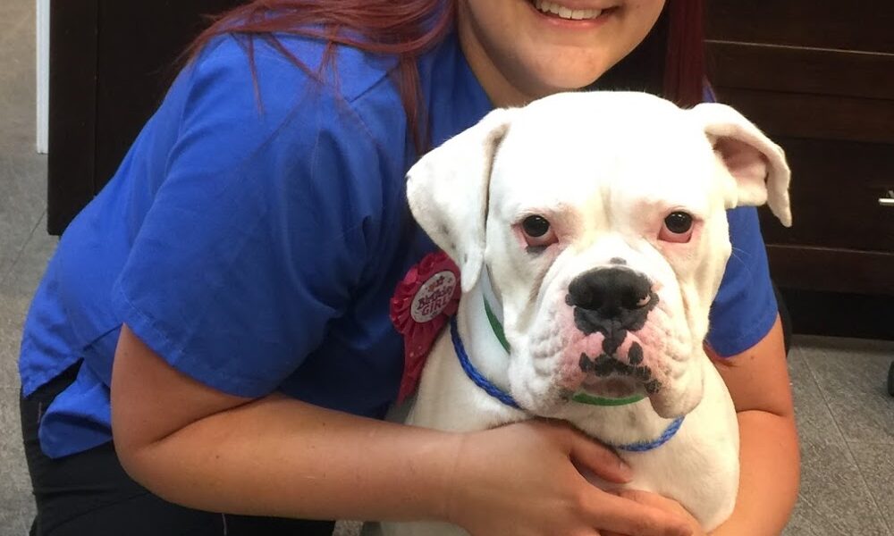 Animal House Veterinary Hospital