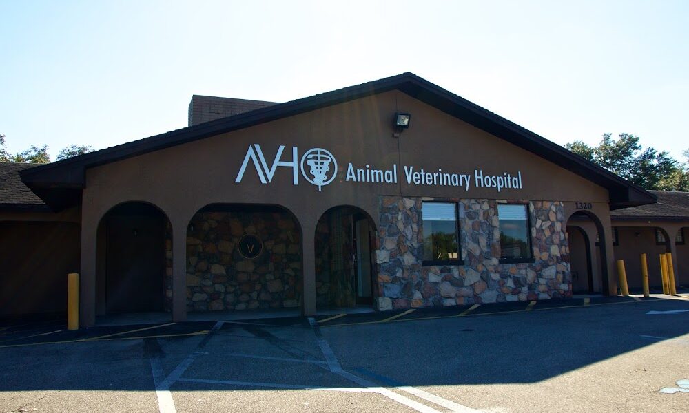 Animal Veterinary Hospital of Orlando