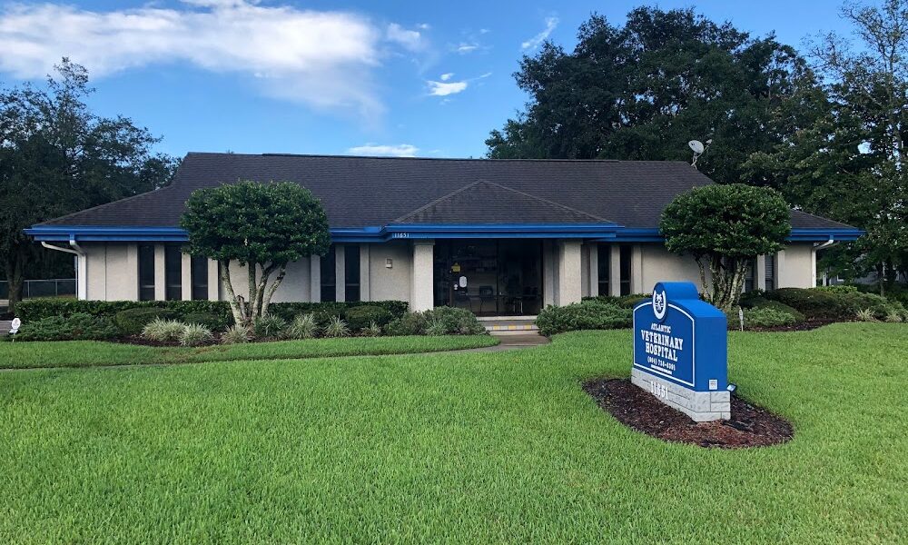 Atlantic Veterinary Hospital