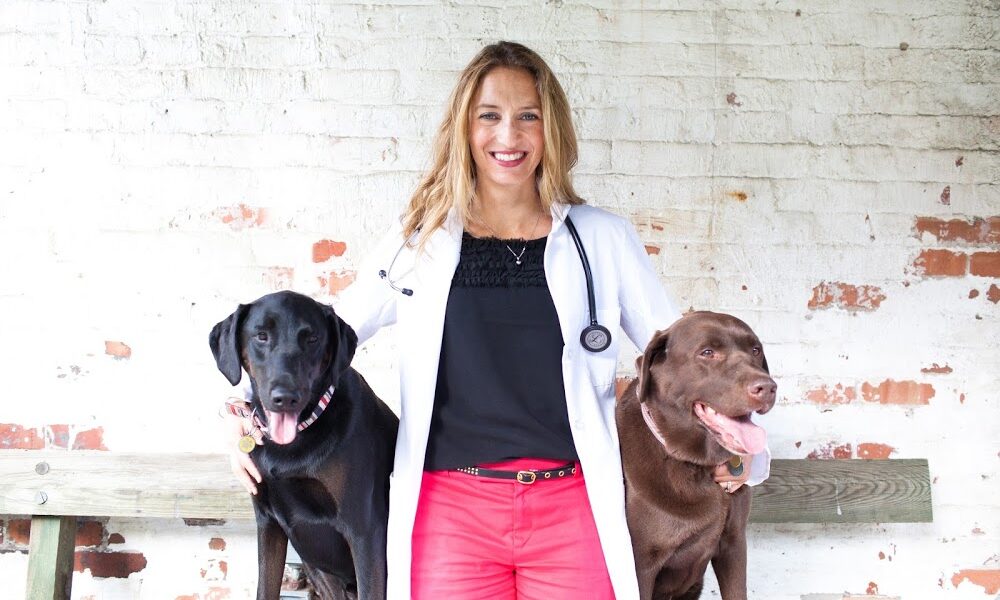 Bayside Veterinary Specialists