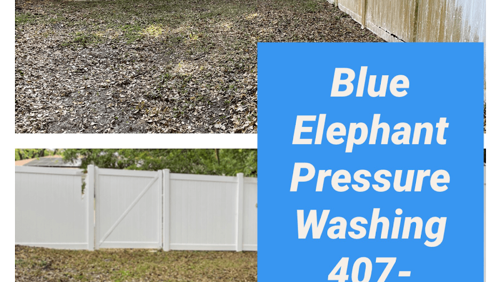 Blue Elephant Pressure Washing & Handyman Services