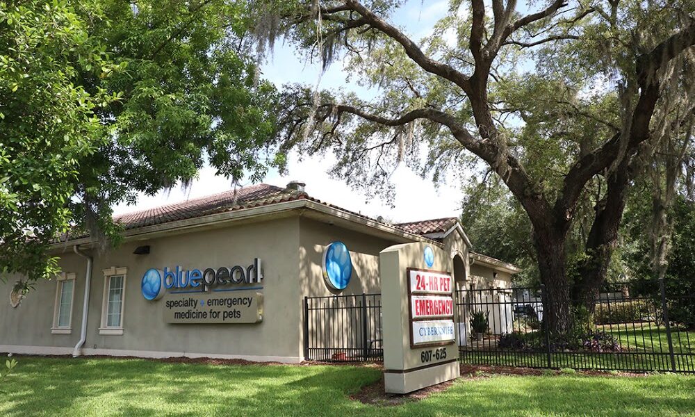 BluePearl Pet Hospital