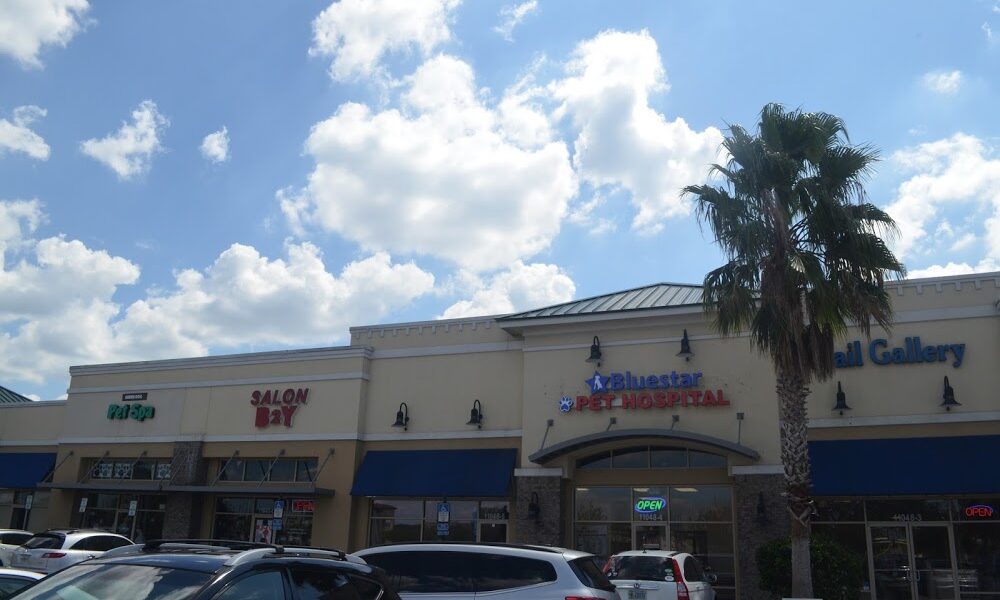 Bluestar Pet Hospital