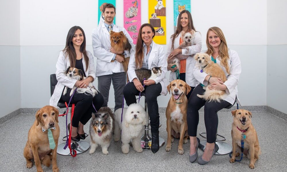 Boca Veterinary Clinic