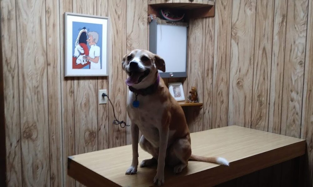 College Park Animal Clinic