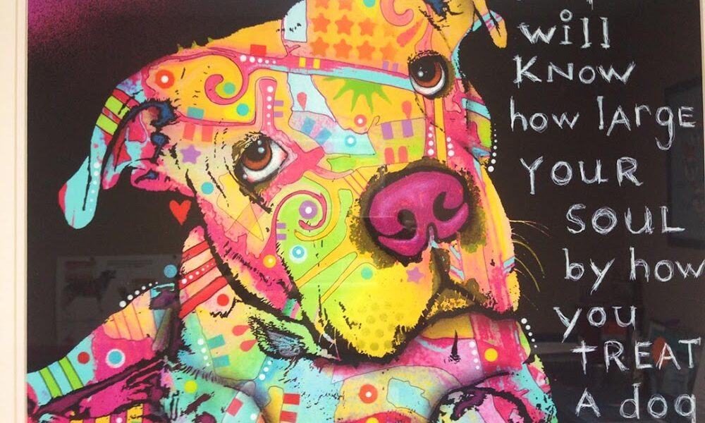 Curry Ford Animal Hospital