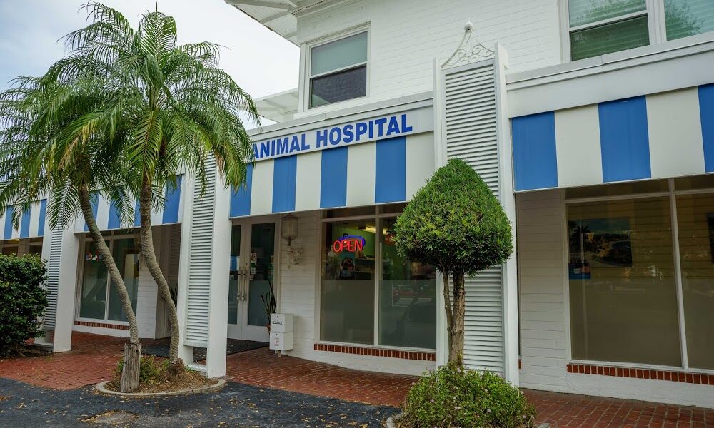 Dr. Kathy’s Veterinary Care