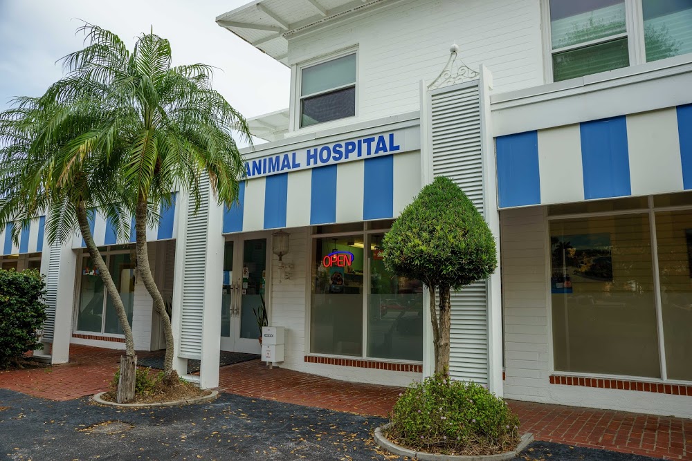 Dr. Kathy’s Veterinary Care