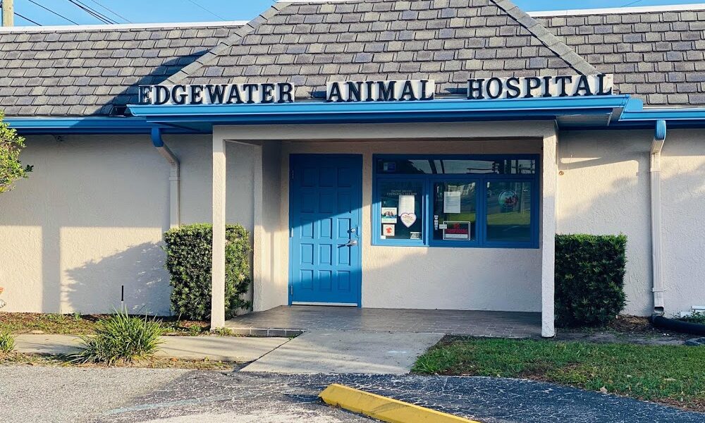 Edgewater Animal Hospital