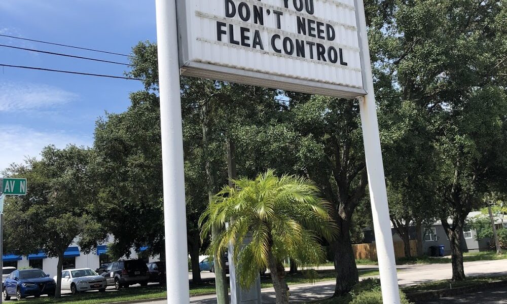Florida Veterinary Clinic