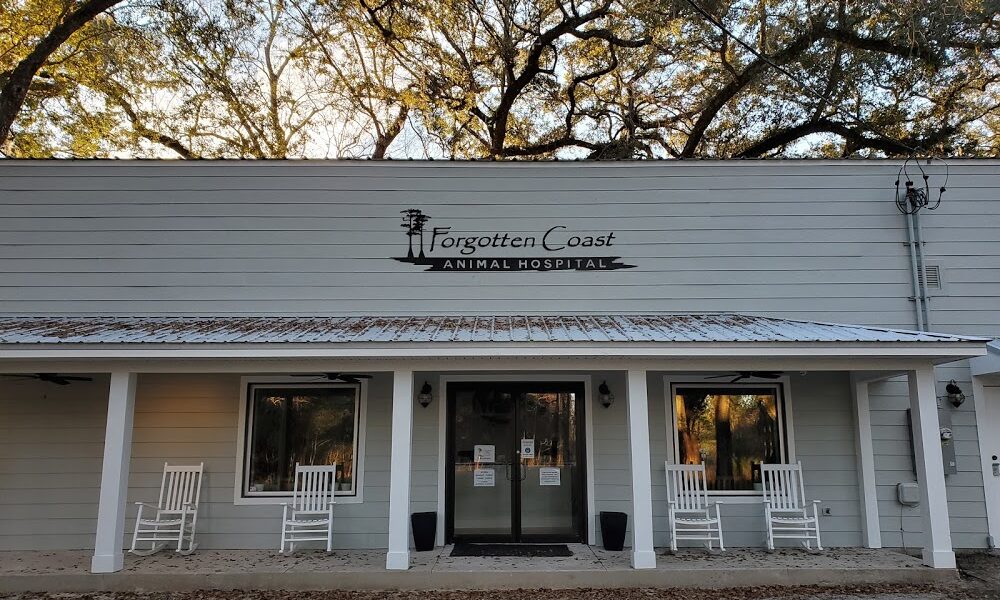 Forgotten Coast Animal Hospital