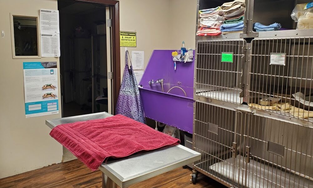 Fort Myers Veterinary Hospital