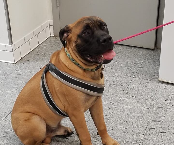 Gateway Animal Hospital