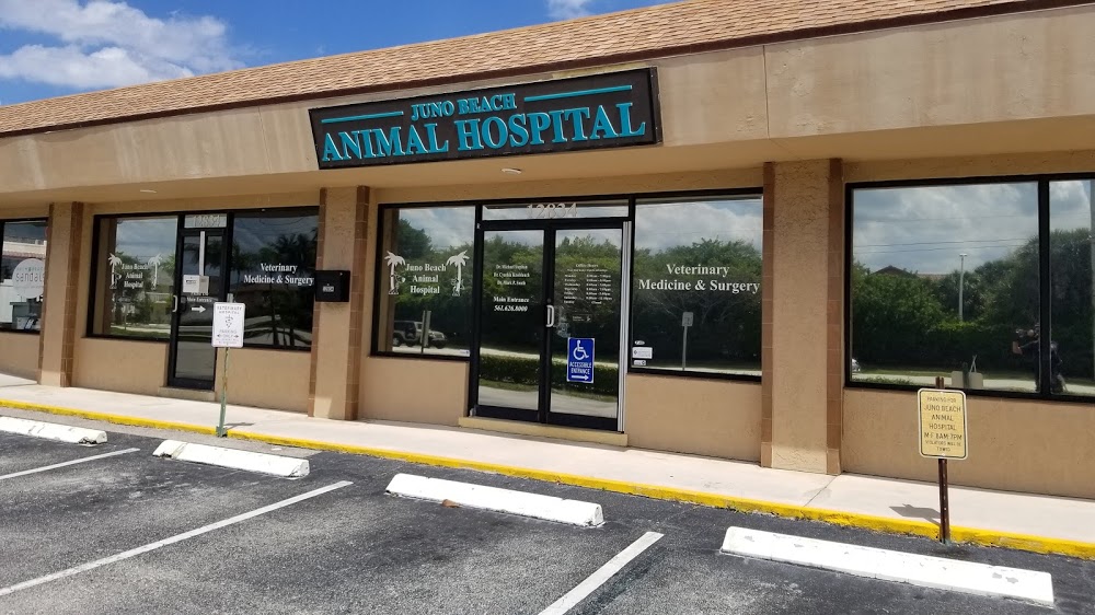 Juno Beach Animal Hospital