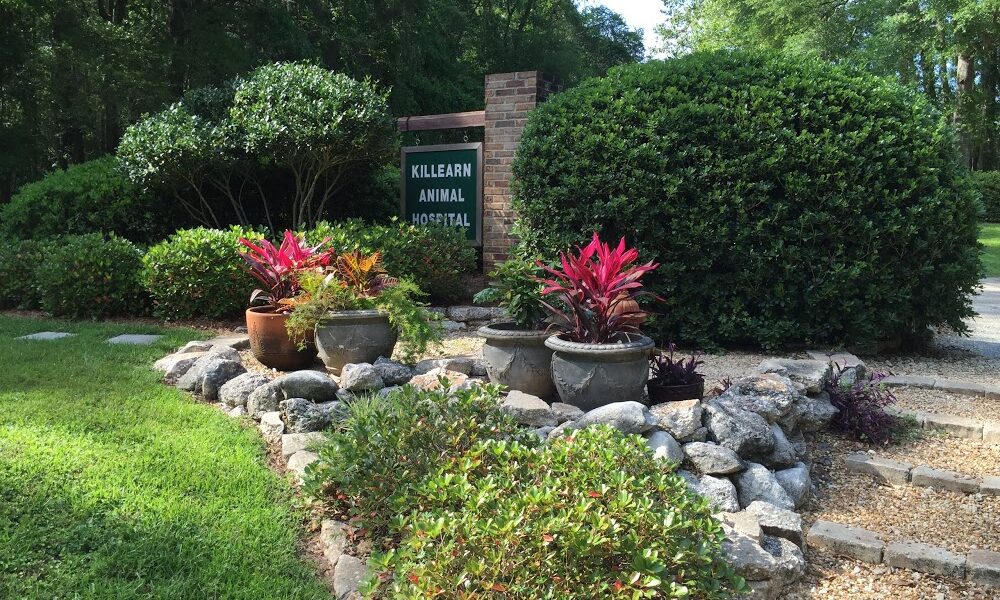 Killearn Animal Hospital