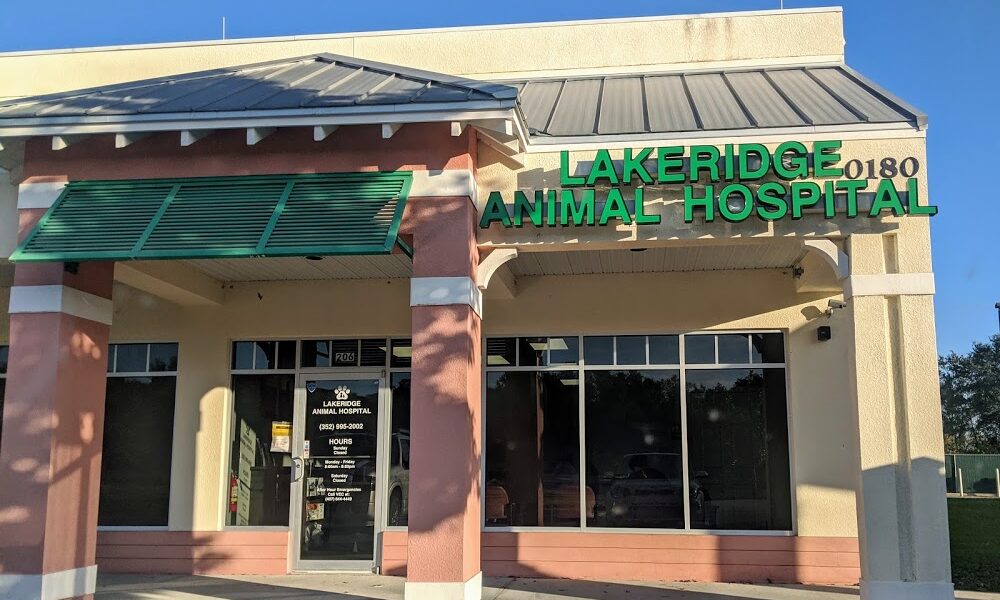 Lakeridge Animal Hospital