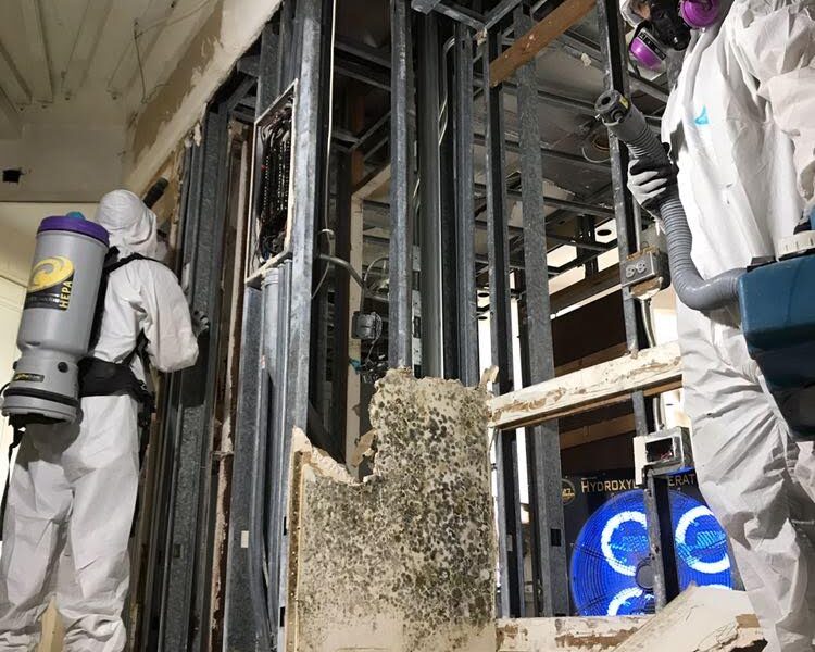 Lifeguard Restoration