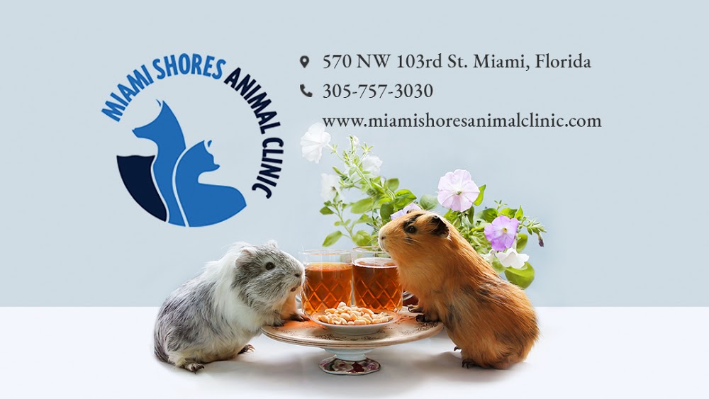 Miami Shores Animal Clinic