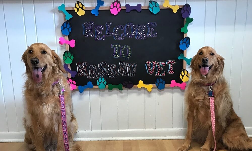 Nassau Veterinary Hospital