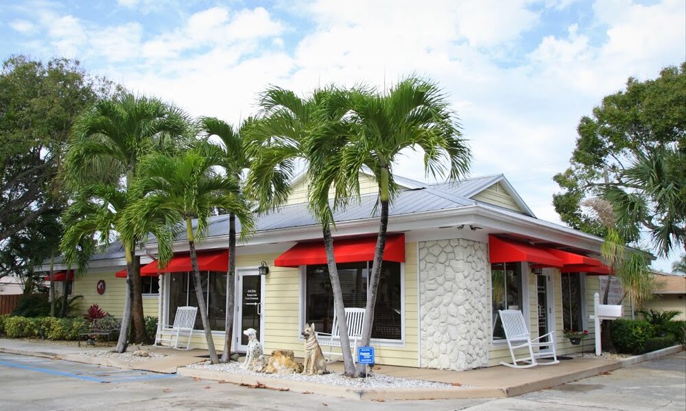 North County Animal Hospital