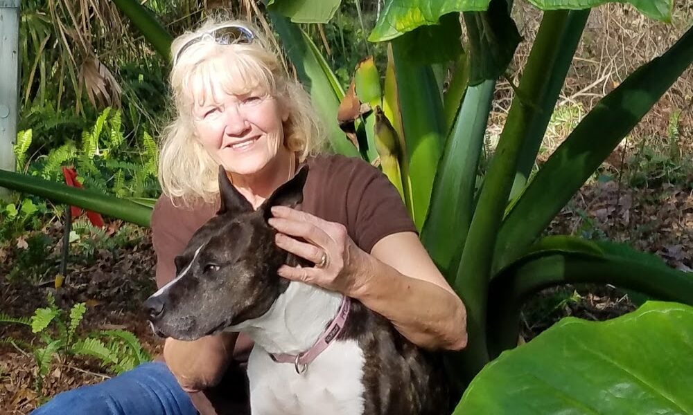 Over The Rainbow Pet Care Llc