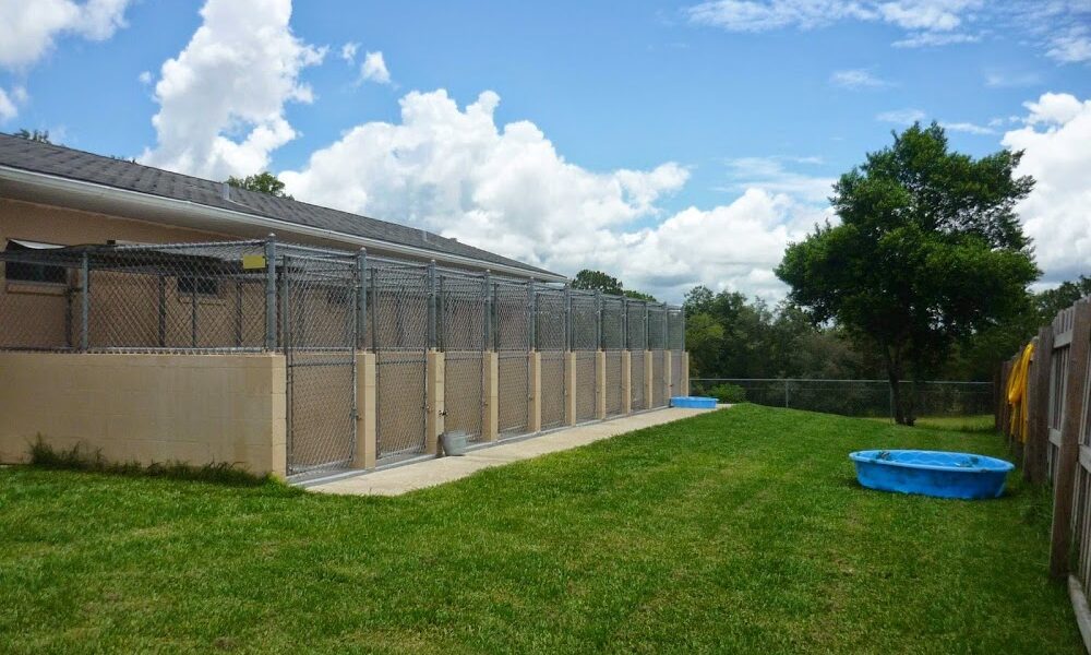 Panacea Pet Resort