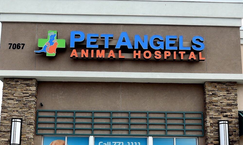 Pet Angels Animal Hospital