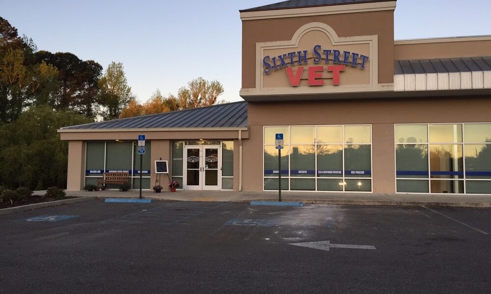 Sixth Street Veterinary Hospital