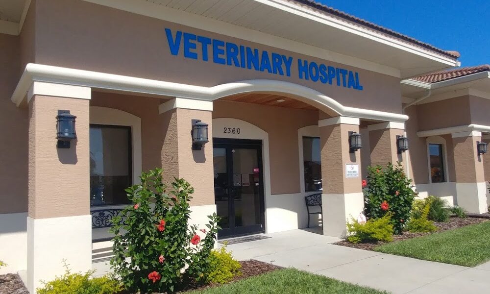St Charles Veterinary Hospital