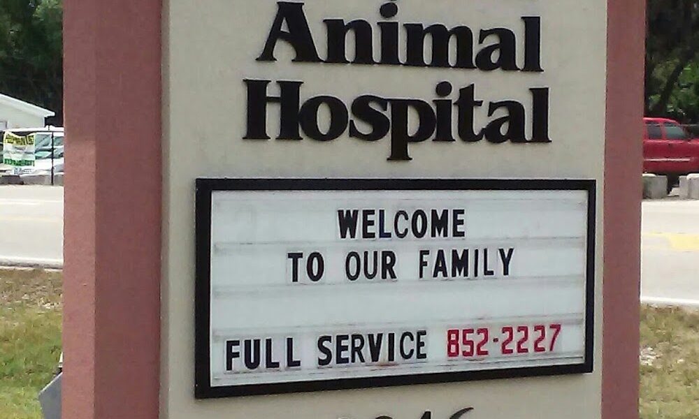 Starkey Ranch Animal Hospital