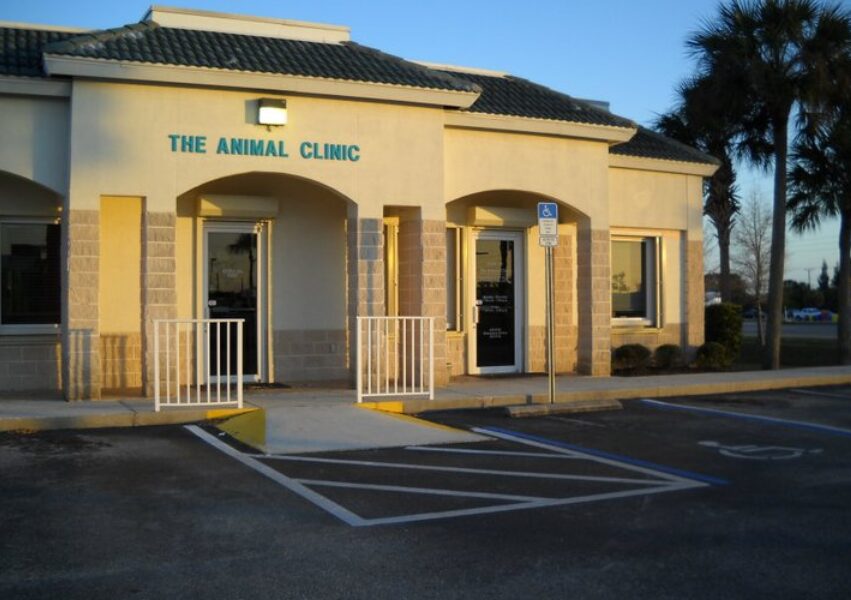 The Animal Clinic