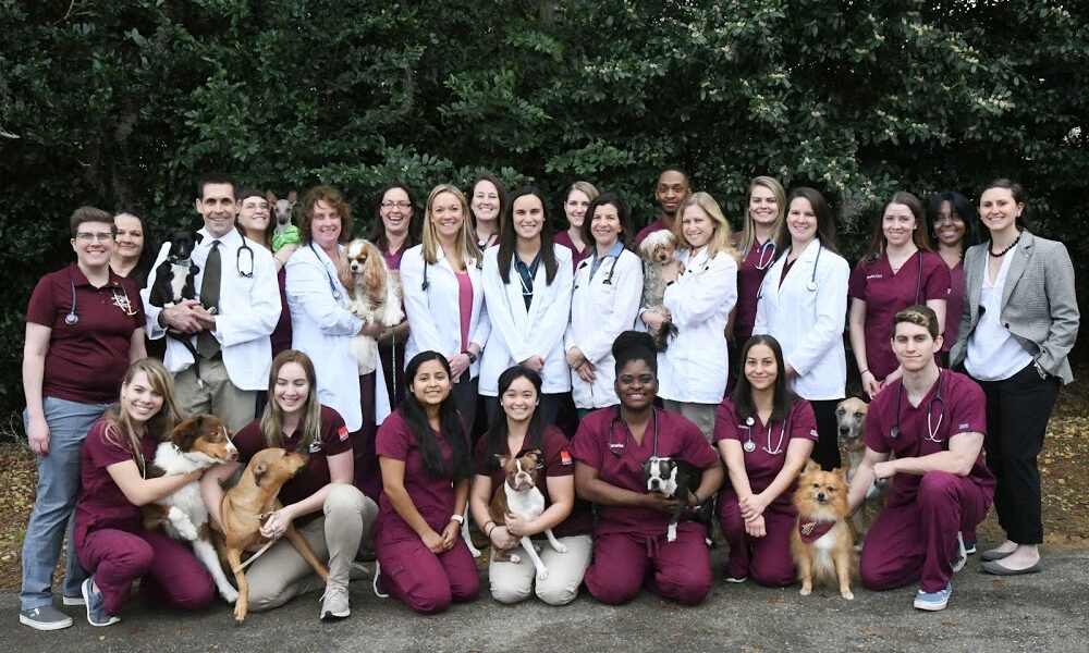 The Animal Hospital & Pet Resort at Southwood