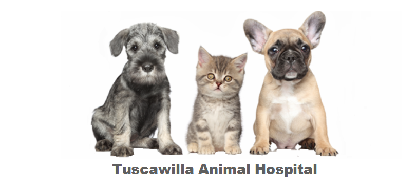 Tuscawilla Animal Hospital