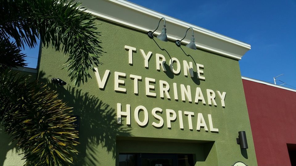 Tyrone Veterinary Hospital