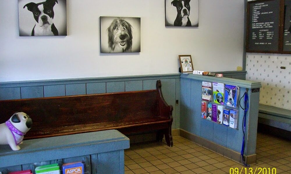 Urgent Pet Care of South Tampa