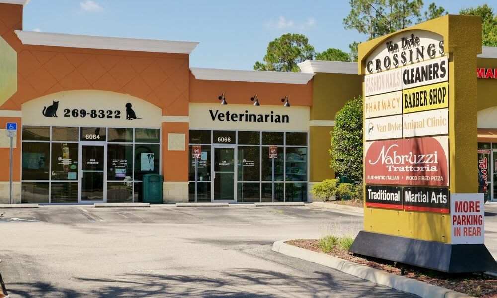 Van Dyke Animal Clinic – Veterinarian