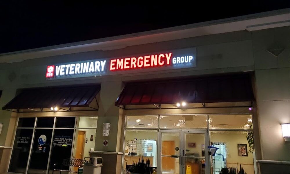 Veterinary Emergency Group