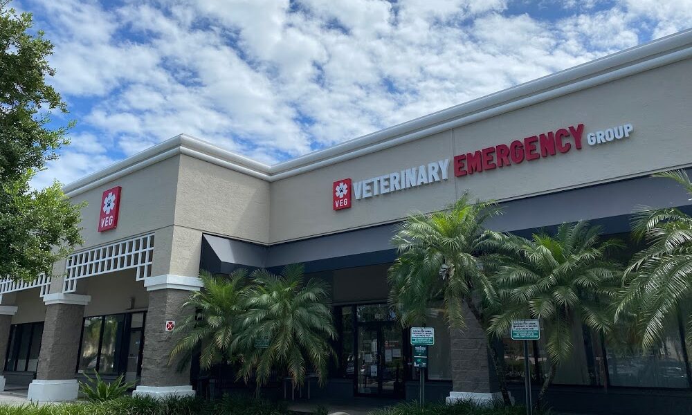 Veterinary Emergency Group