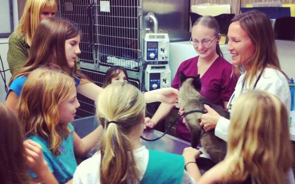 Veterinary Medical Clinic
