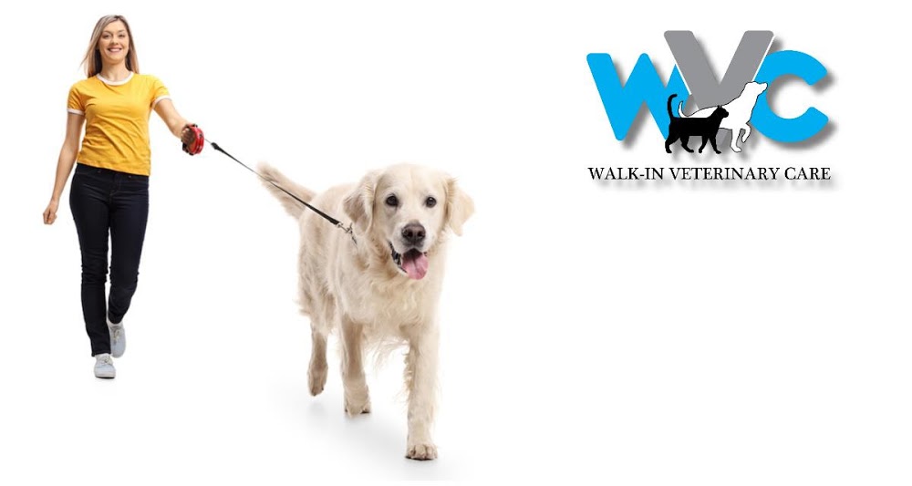 Walk-In Veterinary Care