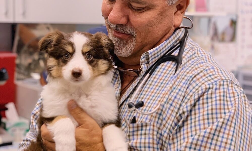 Winter Animal Hospital