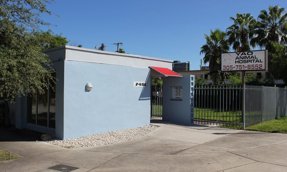 Yao Animal Hospital