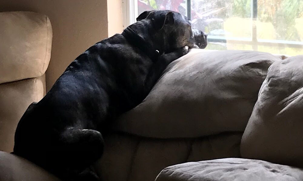 Gateway Accounting & Tax Services, Inc