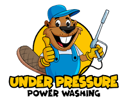 Roof Cleaning Services | Under Pressure Power Washing