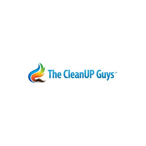The CleanUP Guys