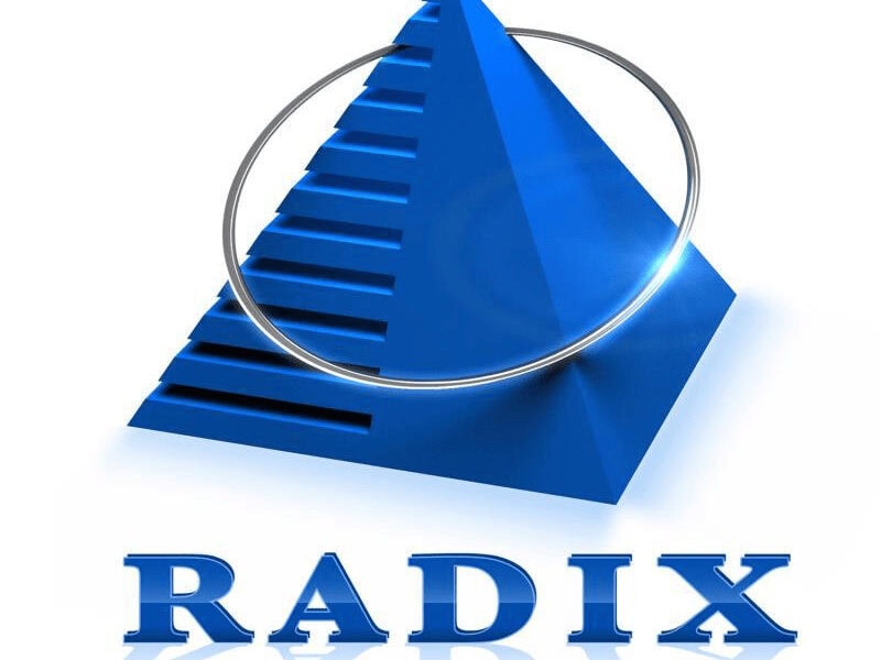 Radixweb