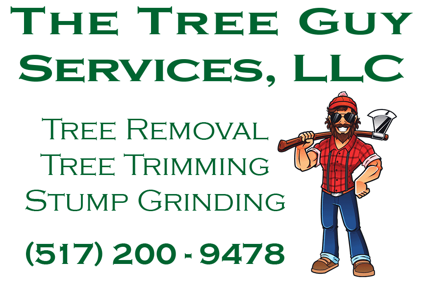 The Tree Guy Services LLC